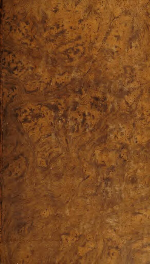 Remèdes maison contre la perte de cheveux ou l&rsquo;alopécie