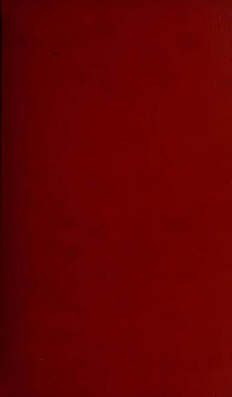 Chine : une nouvelle espèce de dinosaure découverte (photo)