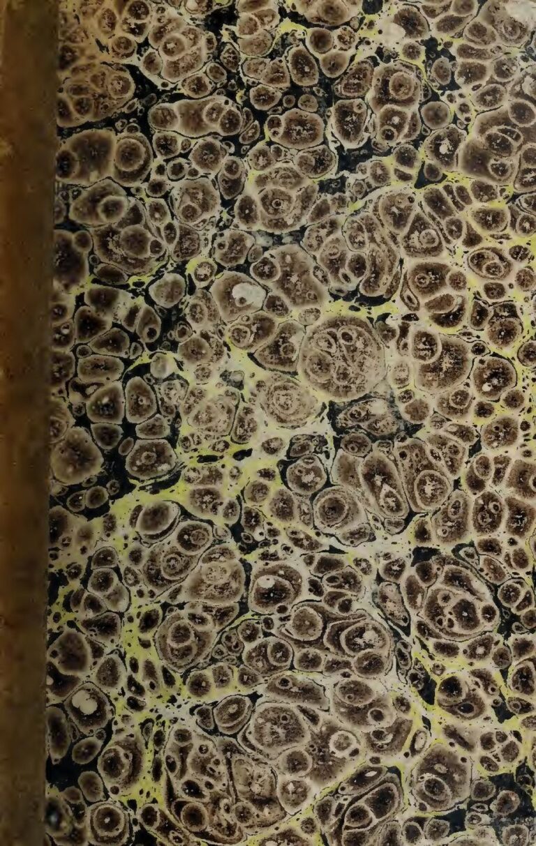 Sénégal: La population multipliée presque par 4 en moins de 50 ans