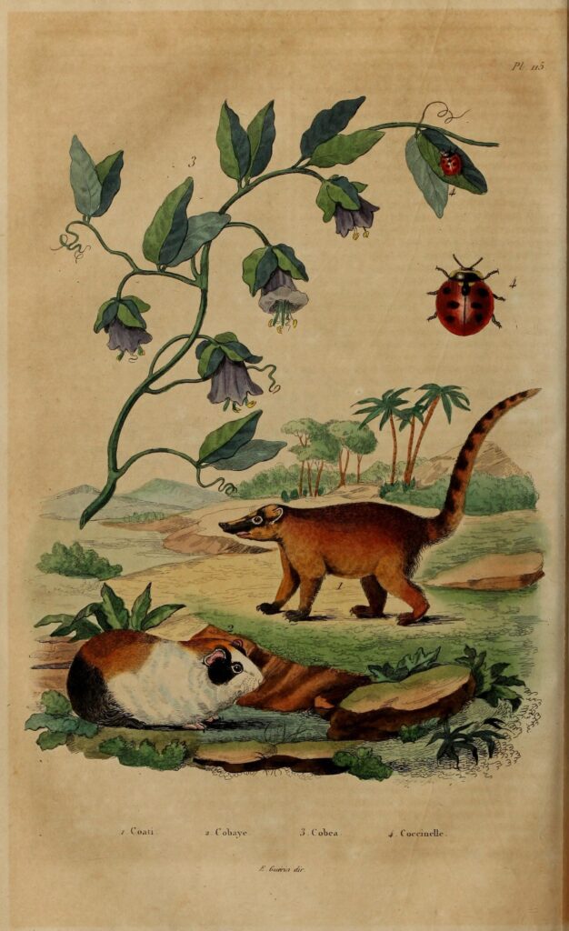 Chelsea : Qui sont les personnes clés derrière le consortium qui rachète le club ?