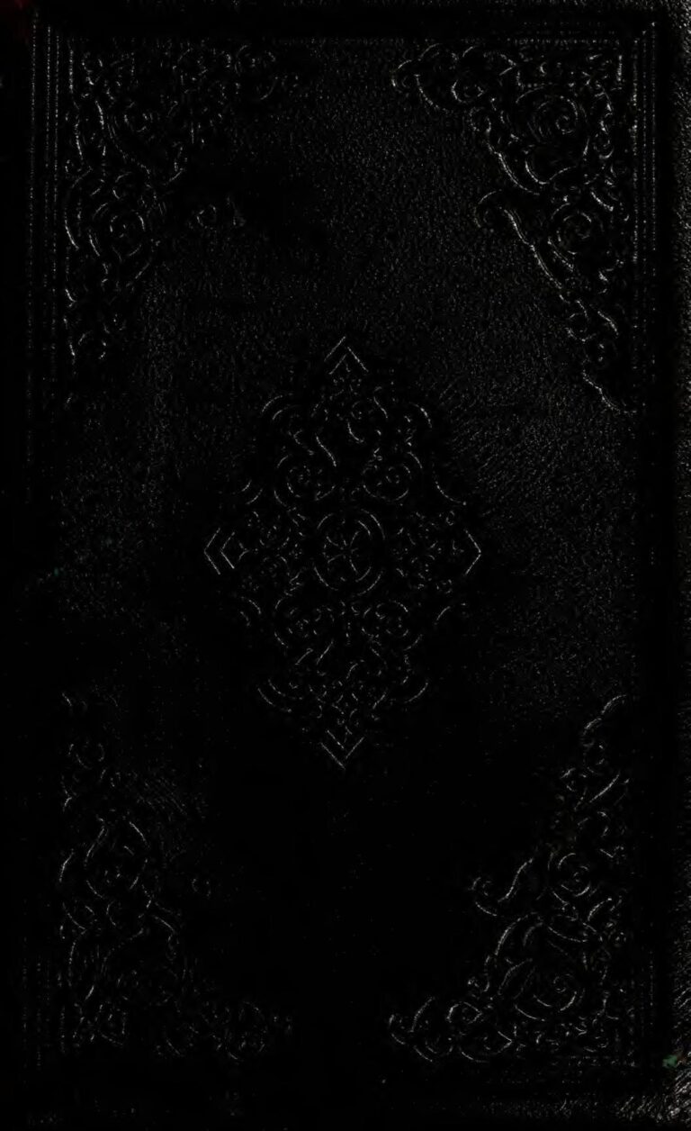 « Soyez gentil avec votre belle-mère » : le message du Pape François aux couples