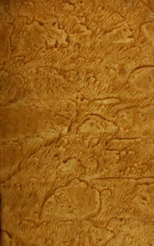 A cause d’une fille, il poignarde à mort son ami