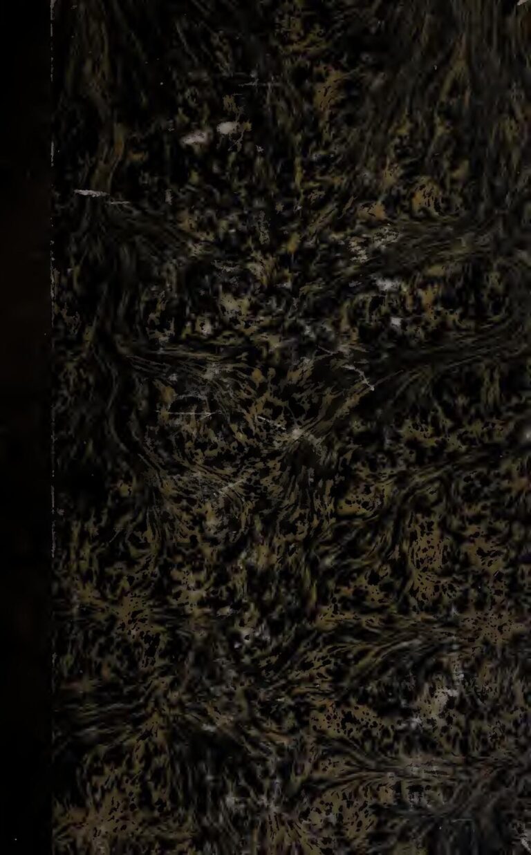 Voici 4 façons simples de manger plus de tomates