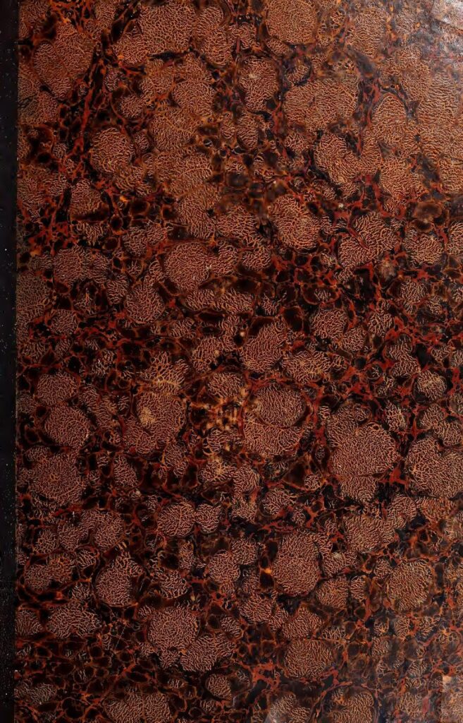 Signe du zodiaque : Découvrez l&rsquo;âge auquel vous rencontrerez l&rsquo;âme soeur