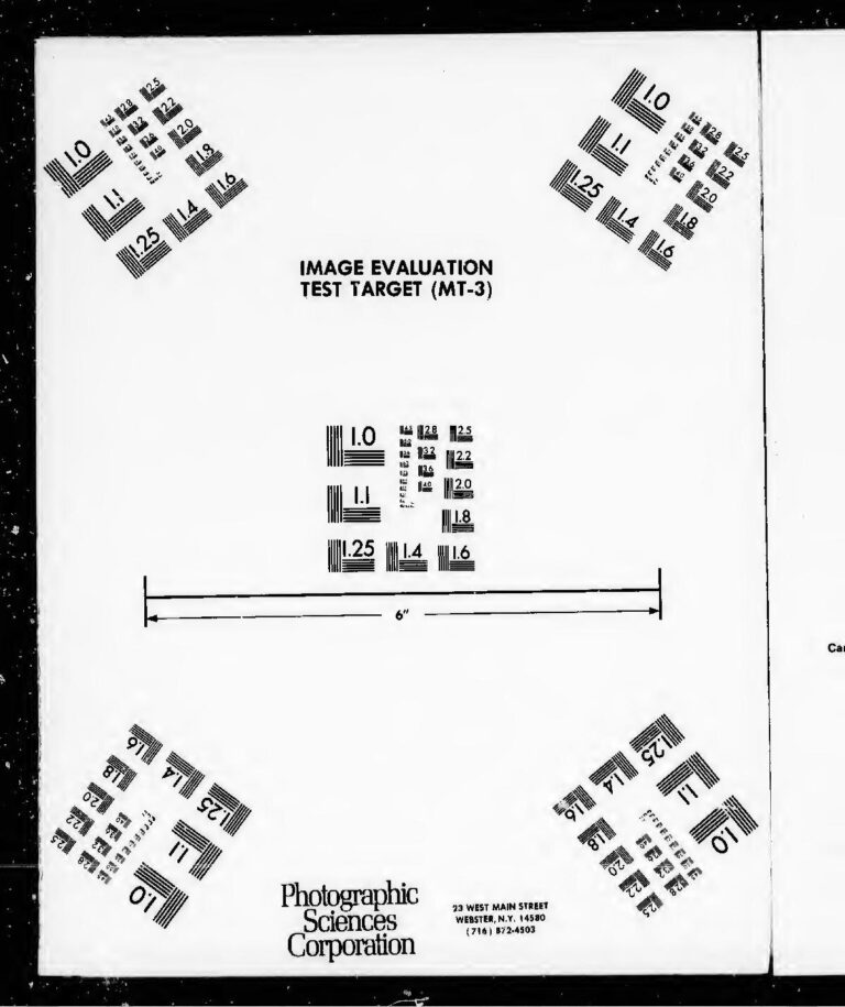 Voici pourquoi il est important de passer aux aliments à base de plantes