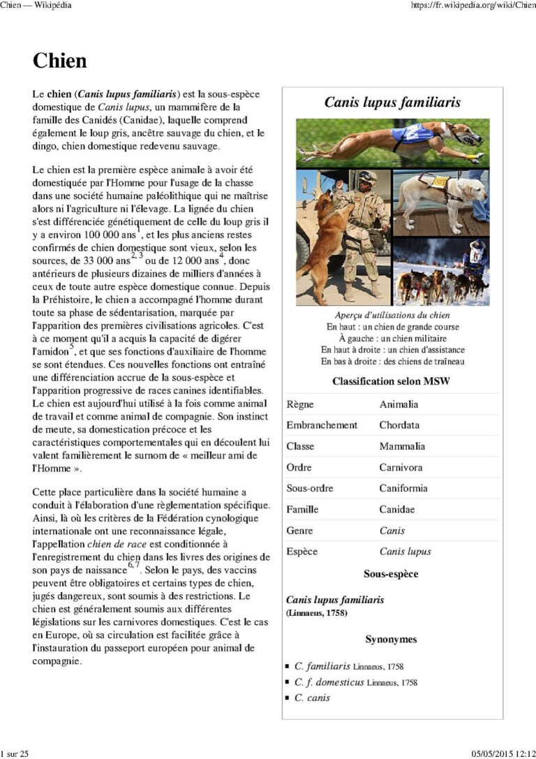 Maltraitance sur animaux : un autre joueur ciblé par la justice