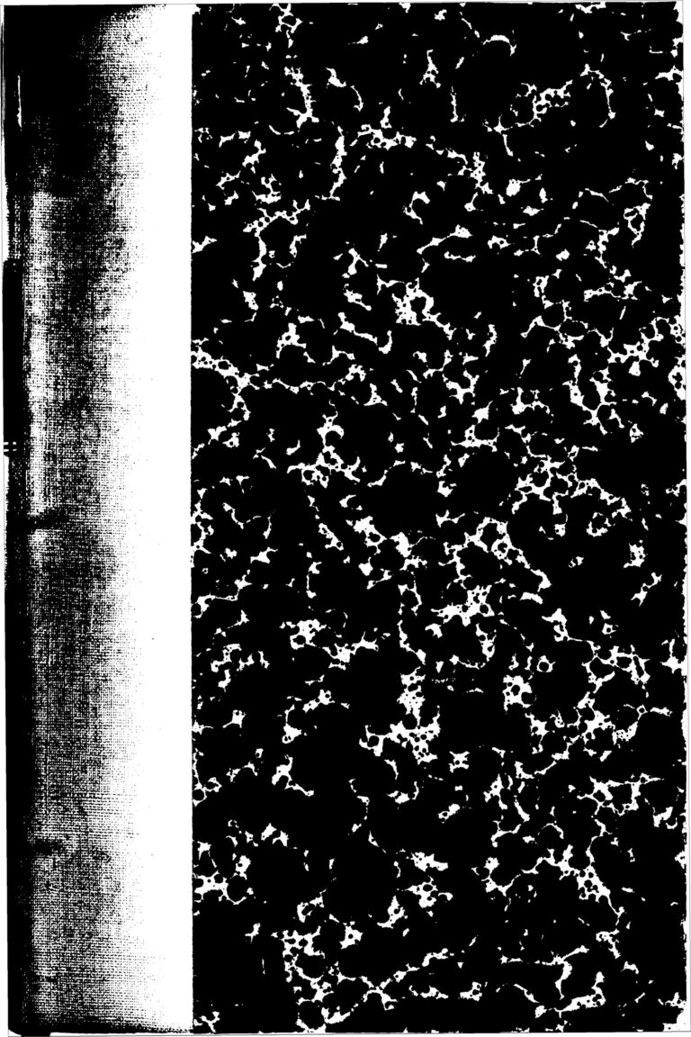 Mesdames, voici 2 conseils infaillibles pour découvrir les hommes infidèles