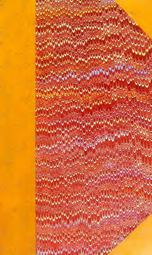 Des enfants blancs surpris après avoir rencontré un garçon noir pour la première fois : vidéo