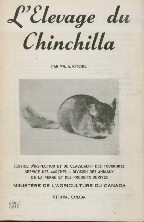 Les 9 meilleurs aliments végétariens pour un régime riche en protéines