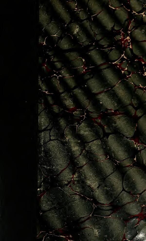 « Il faut arrêter trop d&rsquo;alcool… » Poutine répond à Boris Johnson après son tacle