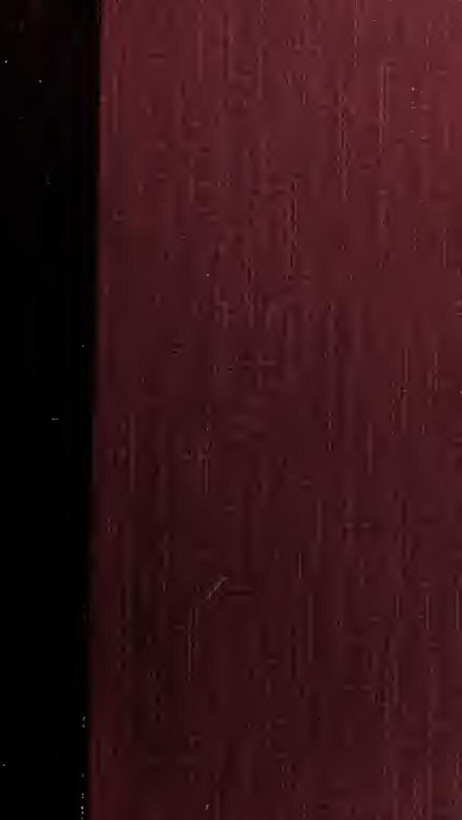 Plus de 1380 ruminants sont morts au Ranch de Dolly après les premières pluies.