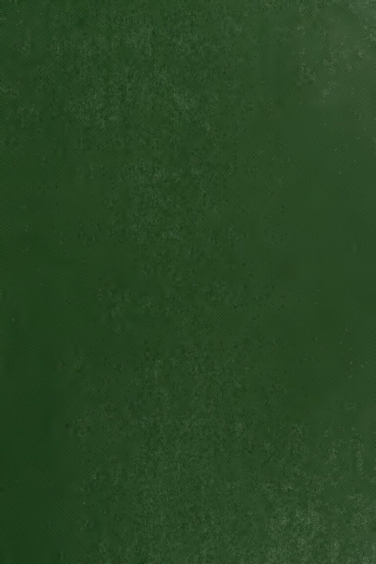 États-Unis : au moins 46 migrants retrouvés morts dans un camion charnier au Texas