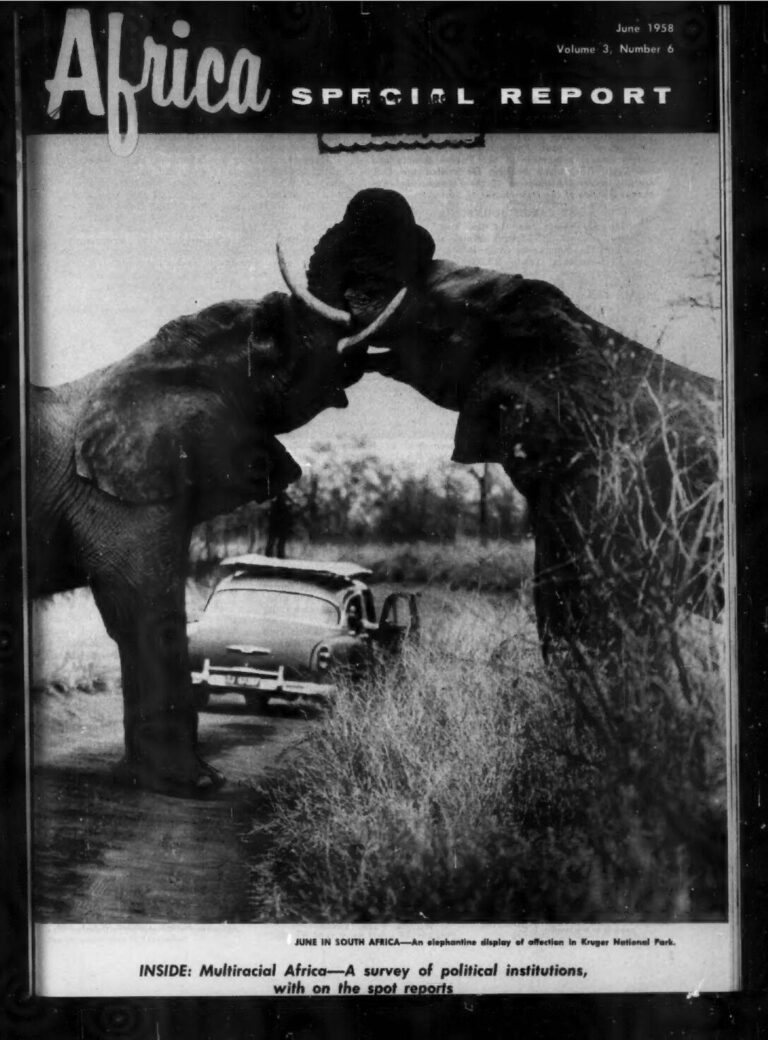 Report de la manifestation et décision d’aller aux élections : le prix du sacrifice de Yewwi