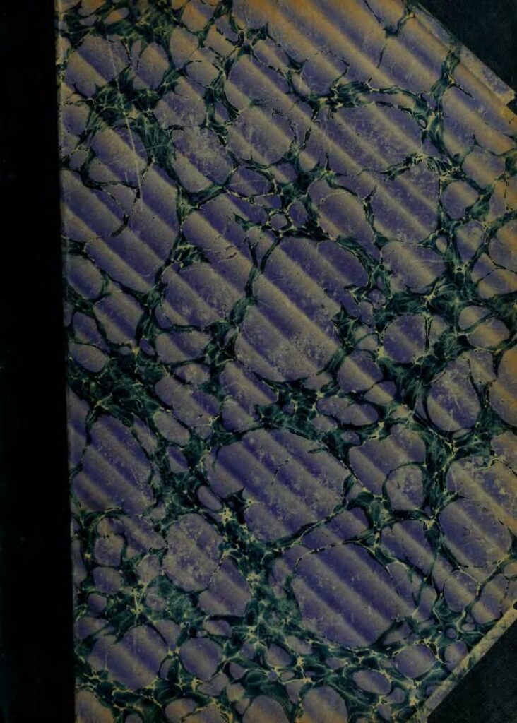 Égypte: Un musée construit en l’honneur de Mohamed Salah 1