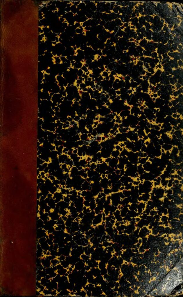 Tout savoir sur les différents types de baisers et leurs significations