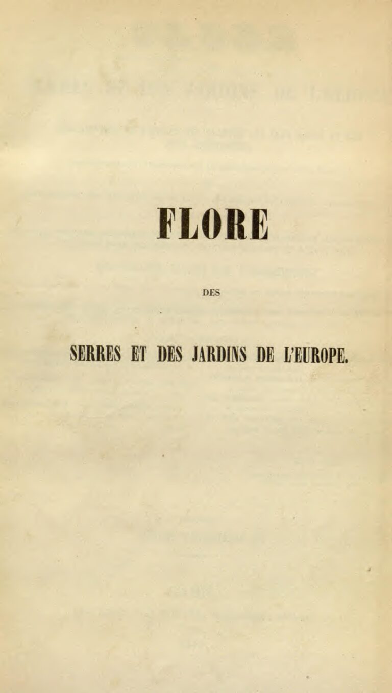 L&rsquo;Inde dépassera la Chine en tant que pays le plus peuplé en 2023