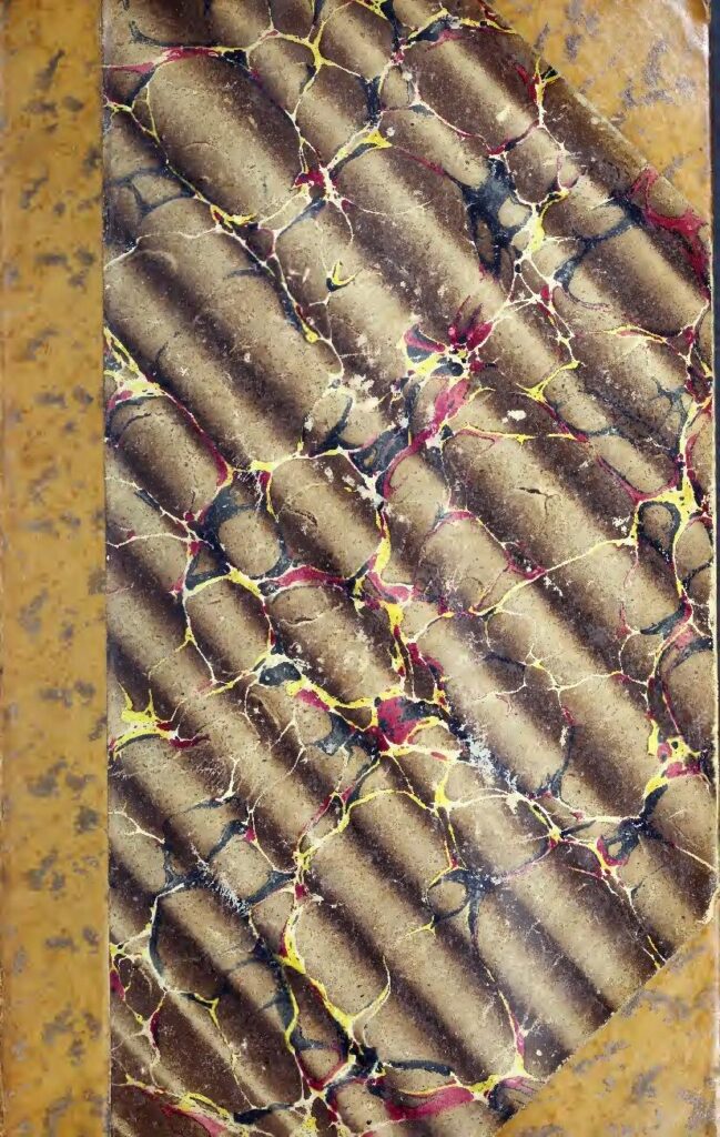 Fièvre typhoïde : découvrez cette formule naturelle et fiable pour le traitement de cette maladie