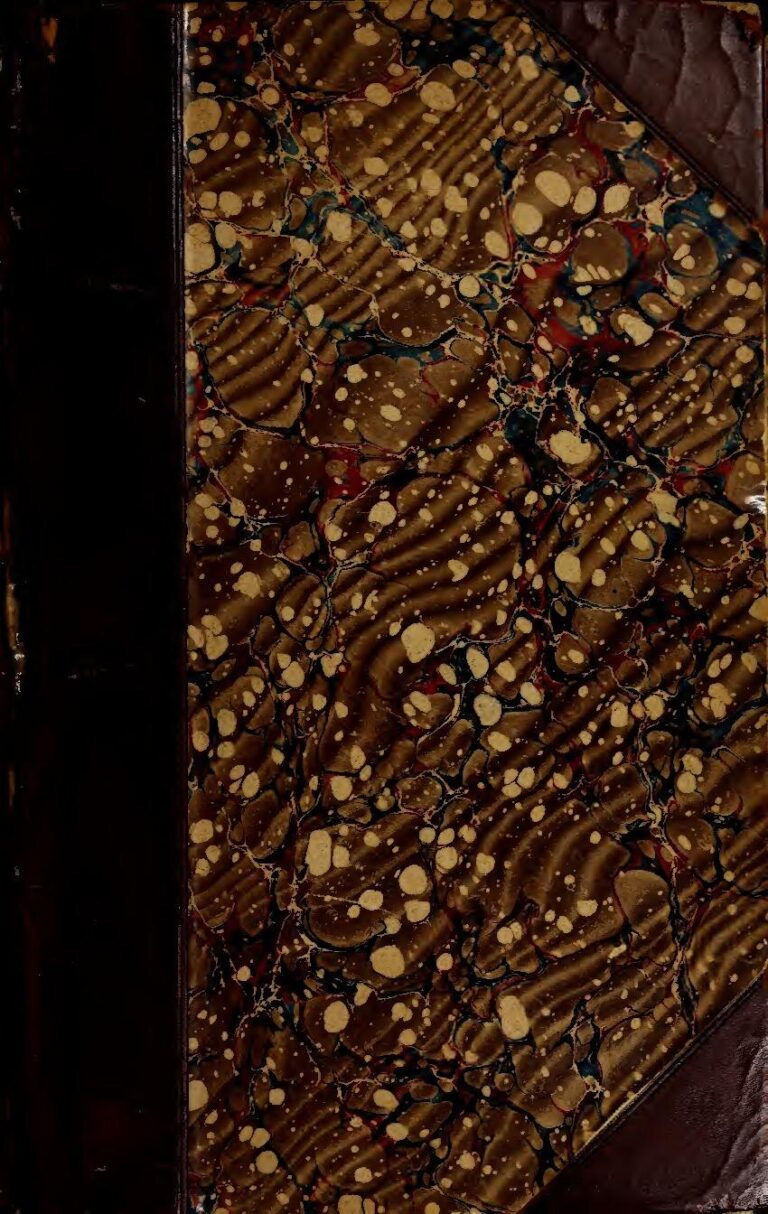 La cathédrale Notre-Dame de Paris devrait rouvrir en 2024