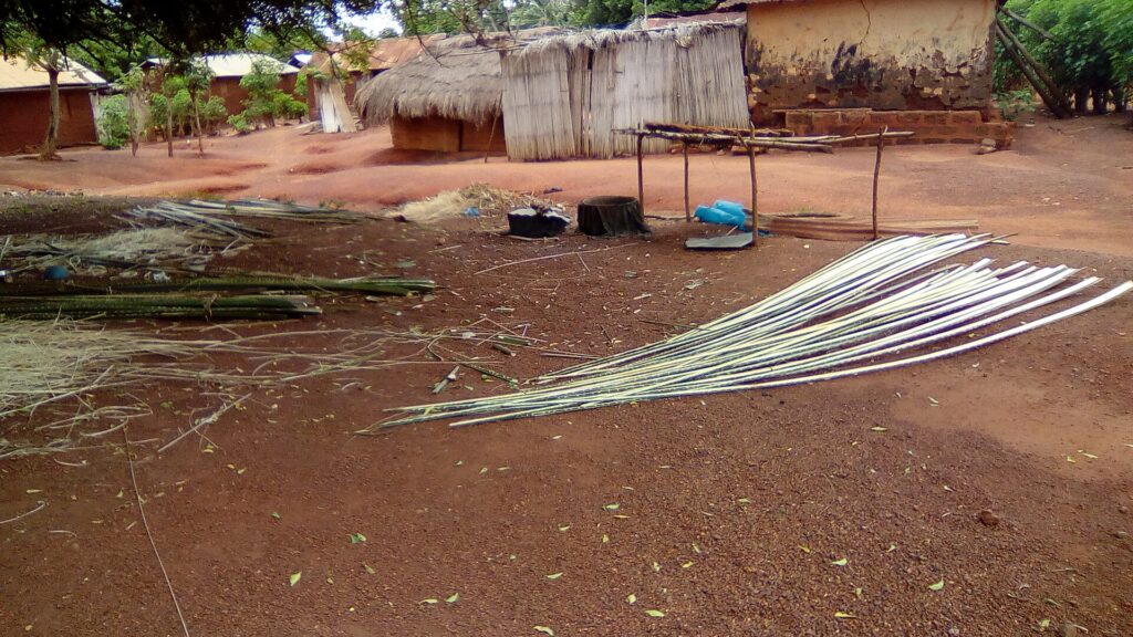 « Le Togo est un pays pour tous les Africains devront… » Emmanuel Adebayo illumine la toile