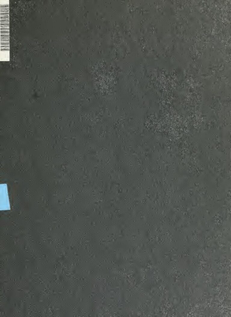 iPhone : Comment enregistrer un appel ?