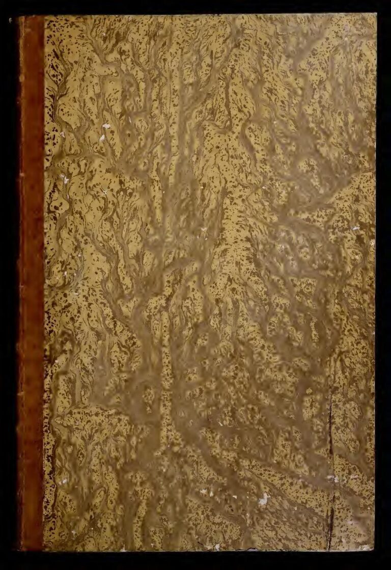 Mercato–Milan AC : Pourquoi Abdou DIALLO a damé le pion Tanganga ?