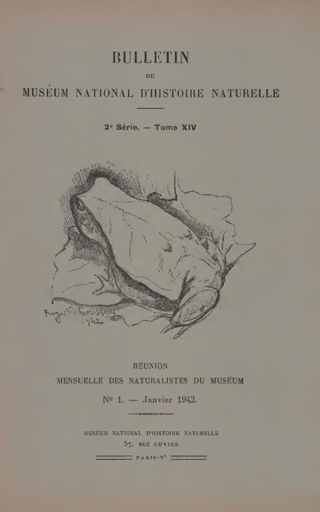 Exposition de « Lumières d’Afrique » à Dakar : les 54 pays africains représentés