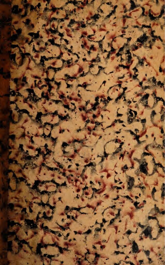 COUP DE TONNERRE :  LES 49 MILITAIRES ARRETES AU MALI SONT LIBRES