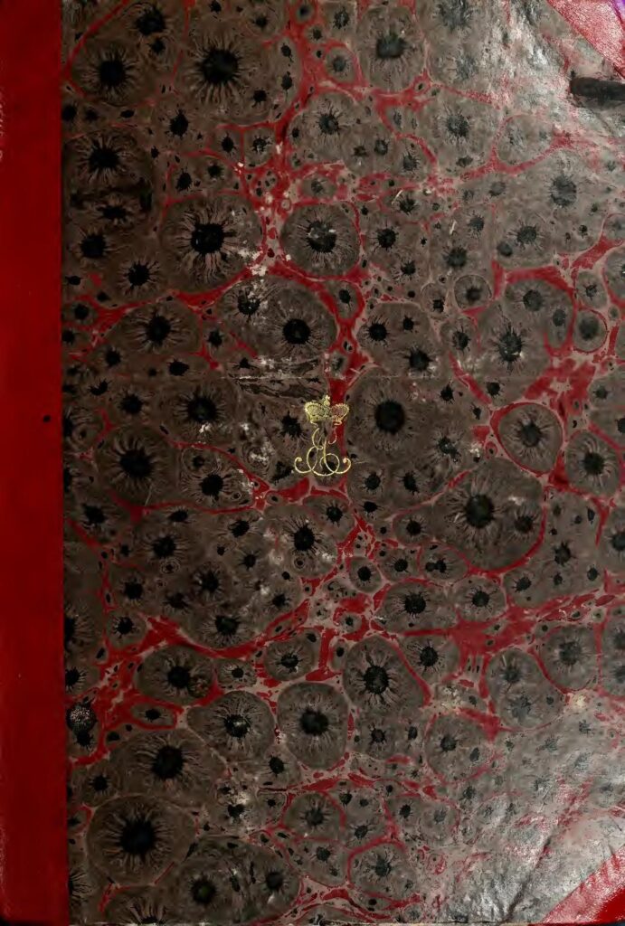 Italie : Religieuses enceintes à Milan ? Le conseil réligieux dément cette fake news