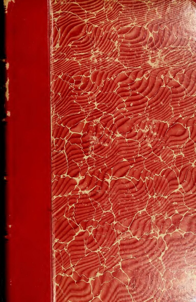 Real Madrid: Une offre rejetée pour Valverde