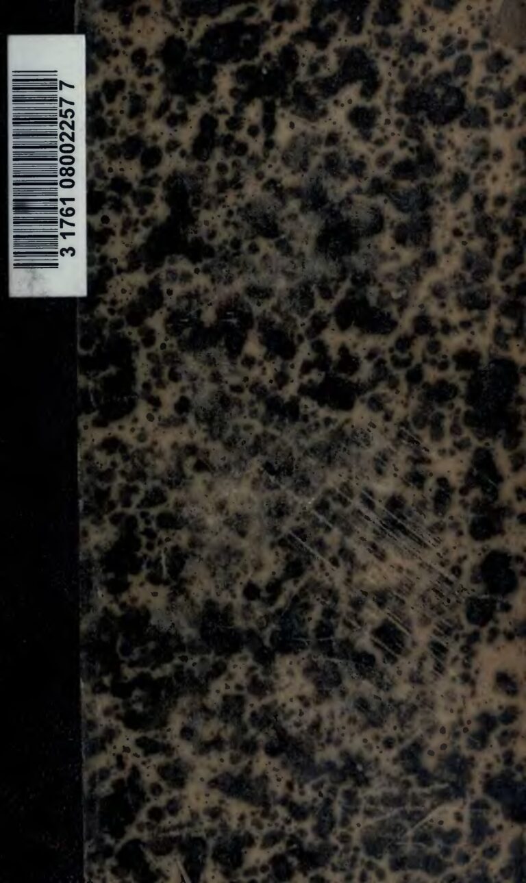 iPhone 14 en vue : attention à sa date de sortie