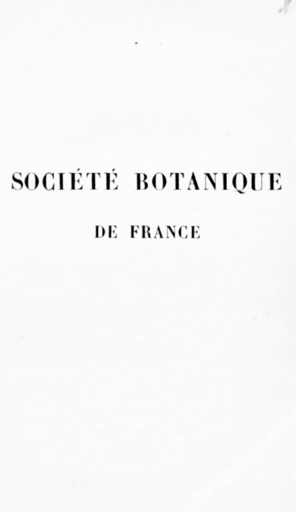 LES 6 PLUS BELLES PLAGES DE FRANCE AUJOURD&rsquo;HUI