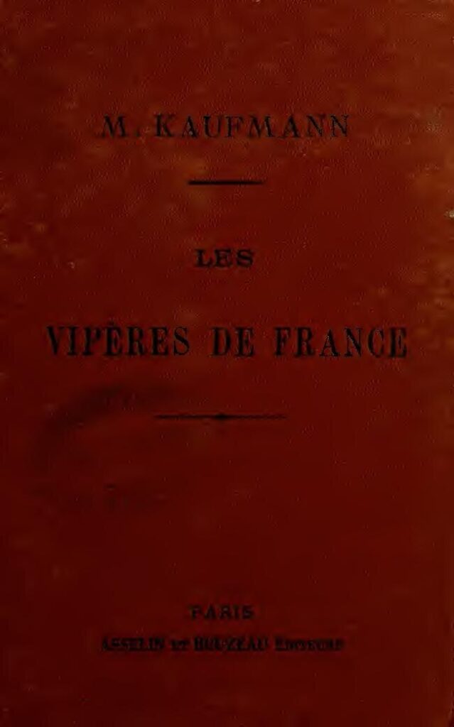 Grosse Exclu: SNAKE – POURTANT JTM A LA FOLIE