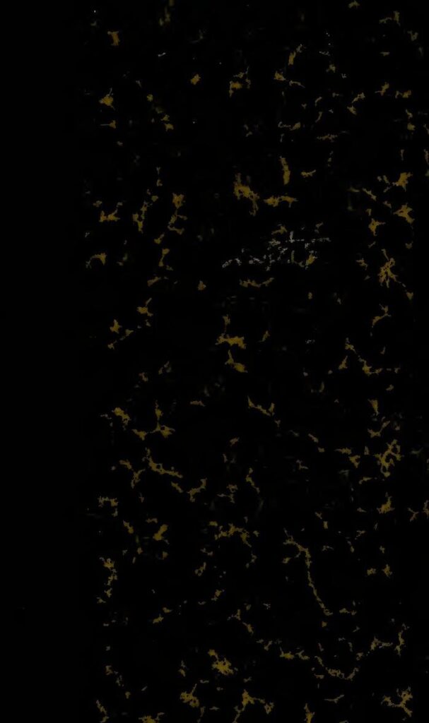 Et si les populations africaines créaient des millionnaires avec 25 Fcfa seulement ?