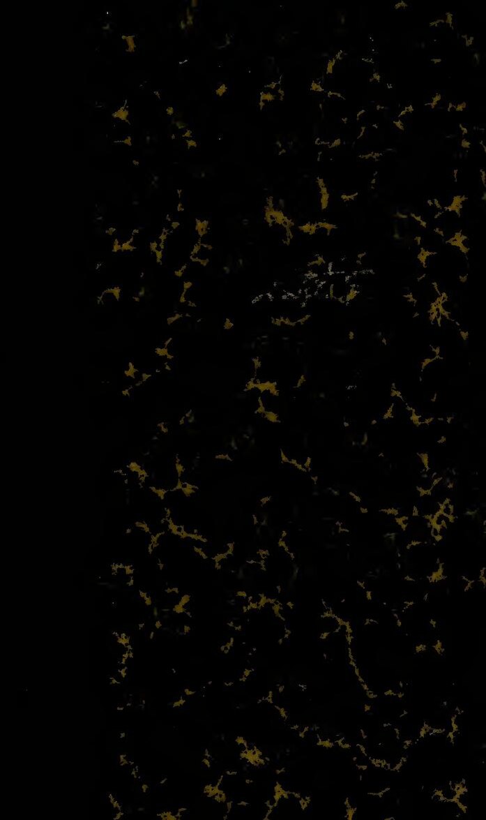 Et si les populations africaines créaient des millionnaires avec 25 Fcfa seulement ?