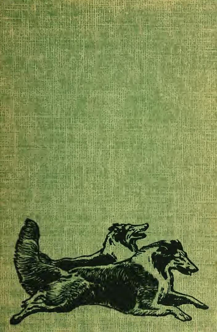 Watch Now: Dog Drives Owner&rsquo;s Truck Into The Lake