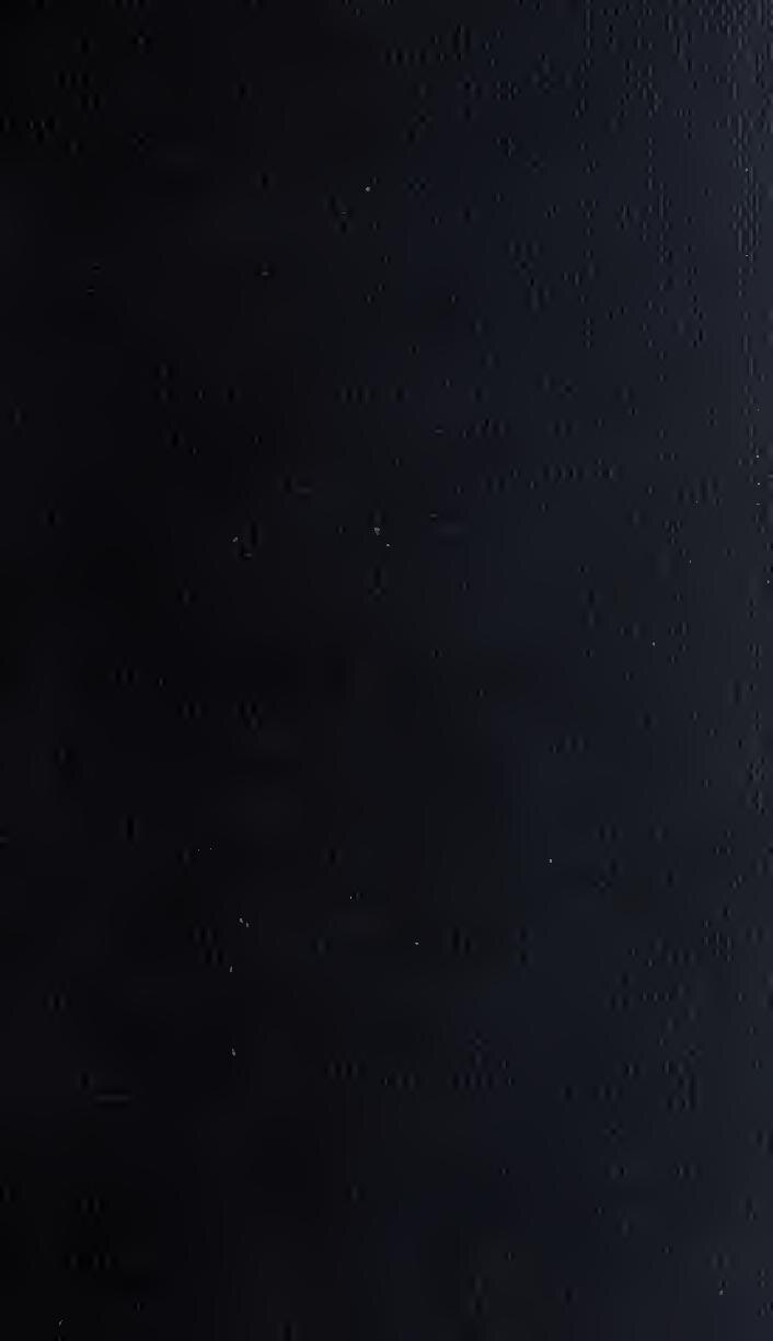 [BIOGRAPHIE] PETIT CHAMPION, LE NOUVEAU PHÉNOMÈNE DE L’AFRO POP EST NÉ !