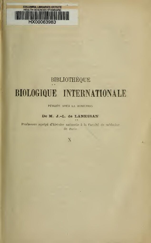 Papou : Top 3 de ses plus grands tubes !