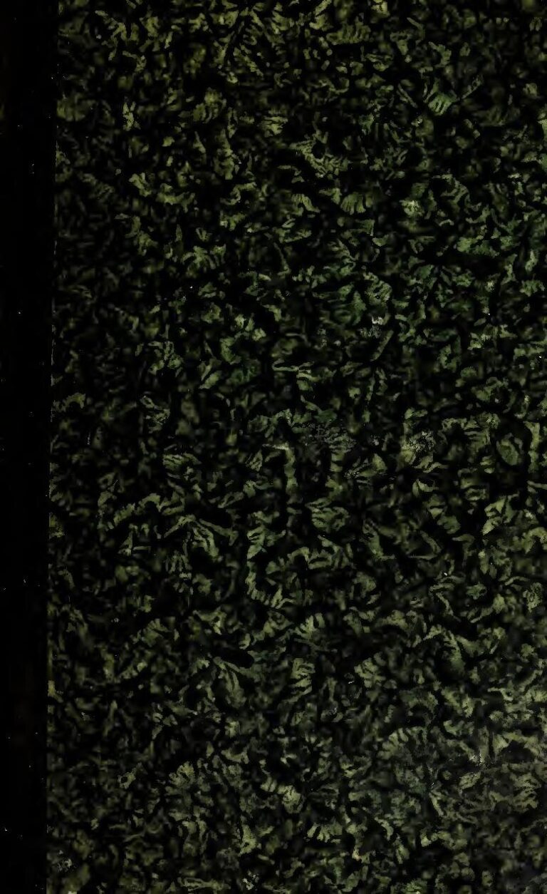 Quand Mani Bella  fait du “Slam­Bikutsi” : C'est incroyable….