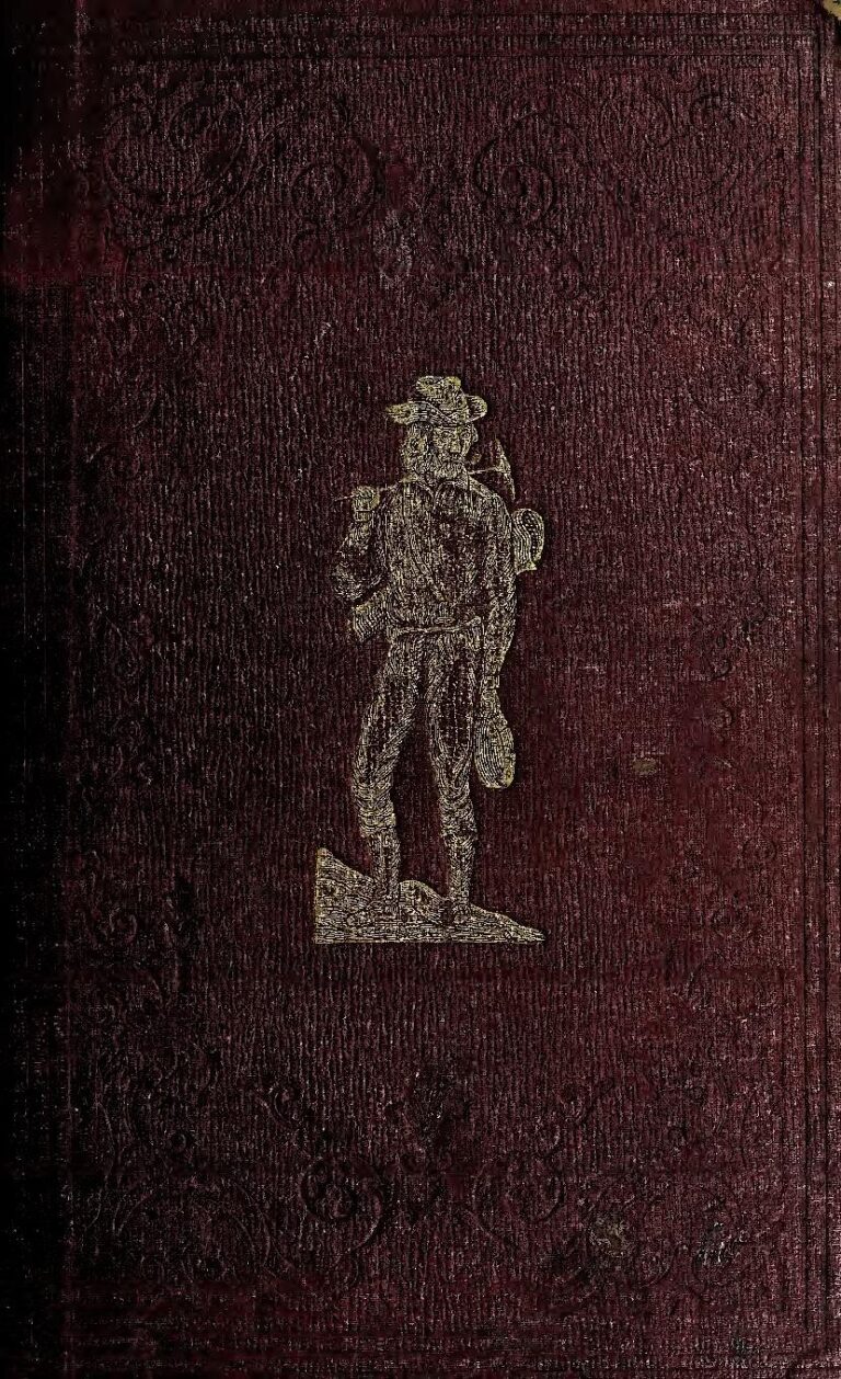 DHF(Dream Hard Family) – Mini Beyoncé (Single)