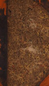 Les forces américaines établissent une base 3D à Hasakah en Syrie