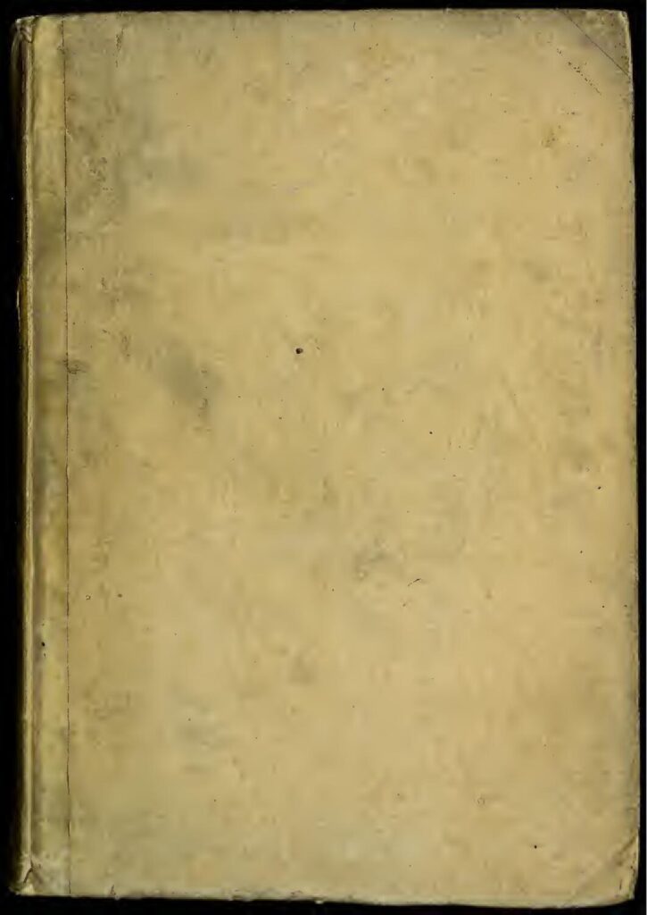 Polha Andréa : Voici ce qu&rsquo;il faut retenir de la charmante influenceuse ivoirienne