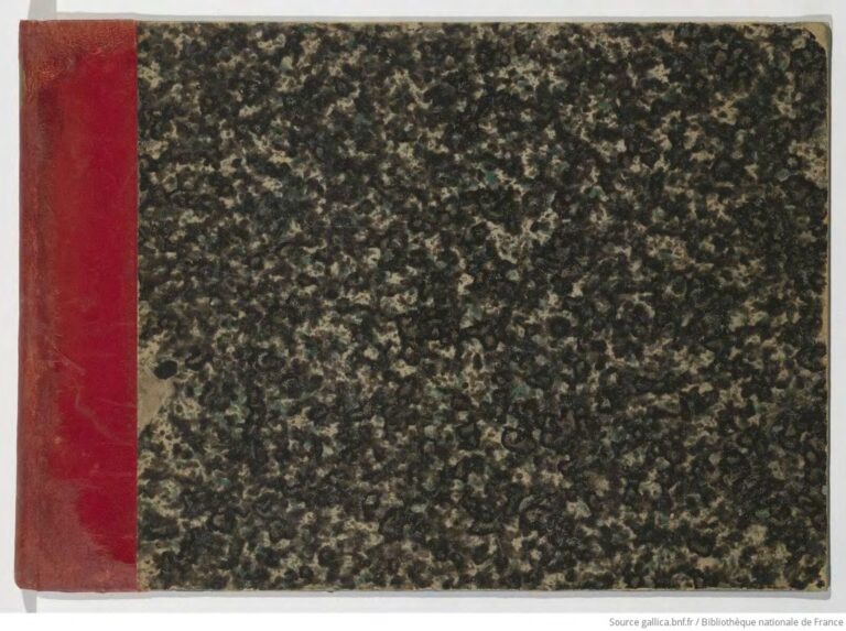 10 000 pas par jour : l&rsquo;effet protecteur surprenant de la marche sur le cerveau