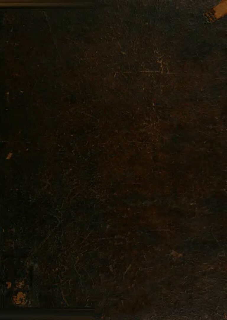 Didi B : Après sa demande en mariage au concert, le rappeur a mal !