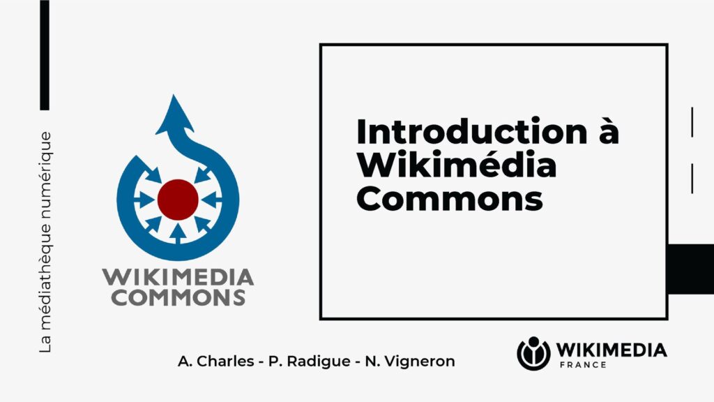 TikTok : Comment retrouver les vidéos que vous avez déjà regardées ?