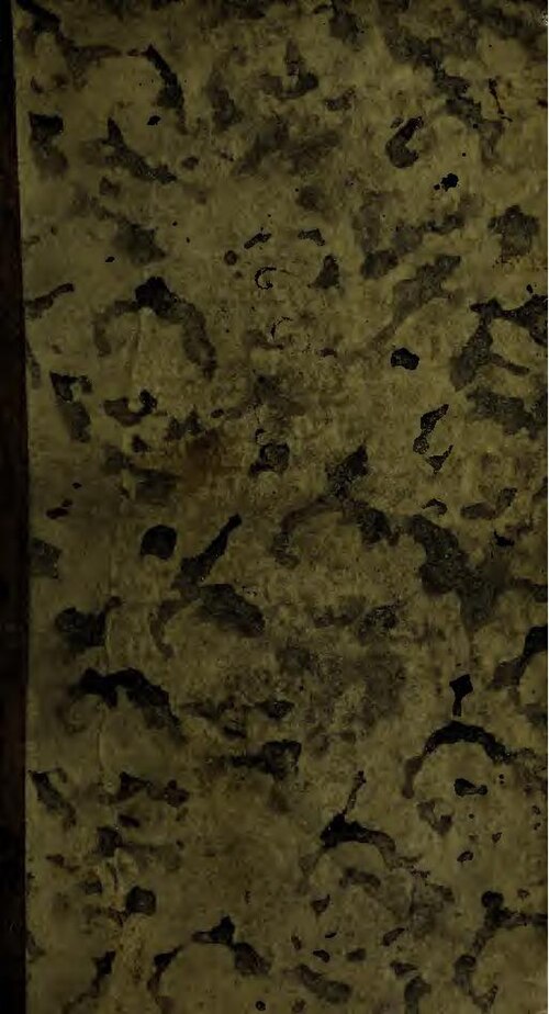 Anti-âge : Le cou est la première partie du corps à vieillir, voici comment prévenir les rides selon les pros