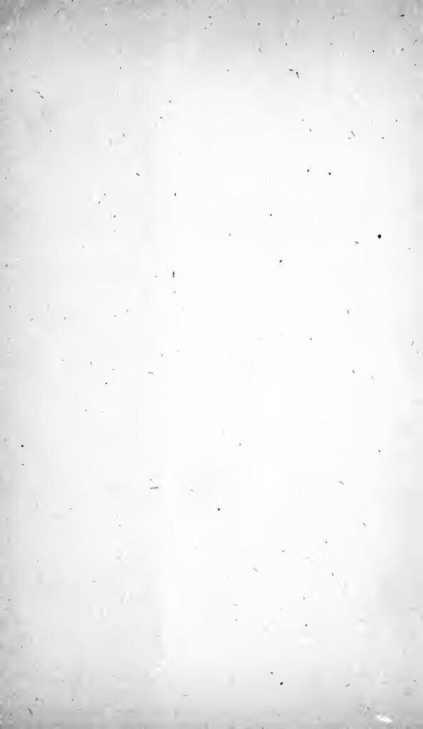 Australie : cinq (5) lions se sont évadés d&rsquo;un zoo (vidéo)