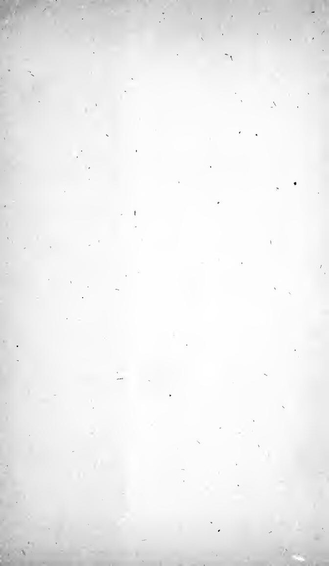 Australie : cinq (5) lions se sont évadés d&rsquo;un zoo (vidéo)