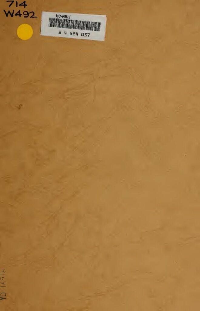 Graines de basilic vs graines de chia : quelle est la différence ?