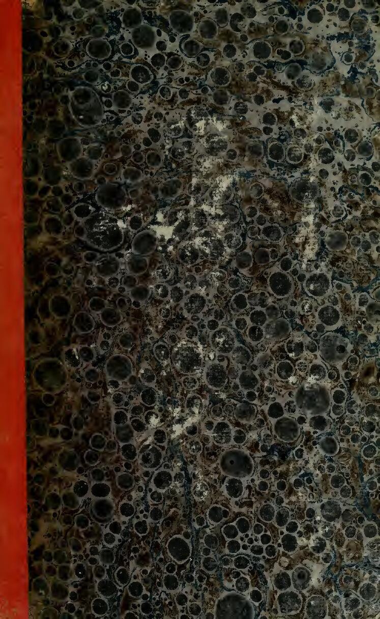 Drame : Une pros.tit.uée et son client meurent en pleine action après qu’un immeuble s’est écroulé sur eux (Photo)