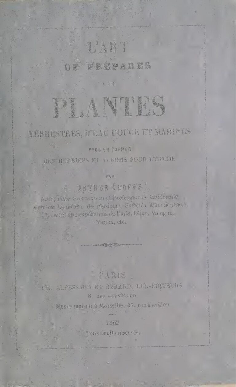 Bijou dentaire : bonne ou mauvaise accessoire à adopter